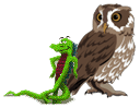 [Owl and Mozilla]