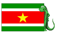 [Suriname_Mozilla]